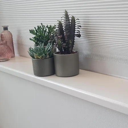 Panta Rhei - Logement De 12E Stad Berlikum Esterno foto